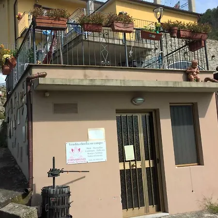 Appartement Monolocale Con Angolo Cottura E Terrazza *