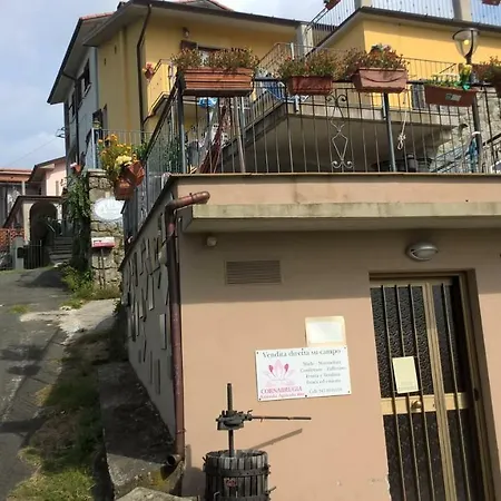 Monolocale Con Angolo Cottura E Terrazza *