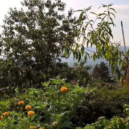 Appartement Monolocale Con Angolo Cottura E Terrazza *